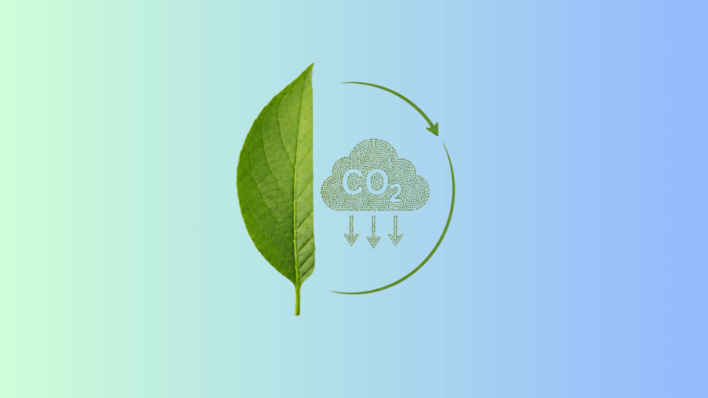 co2