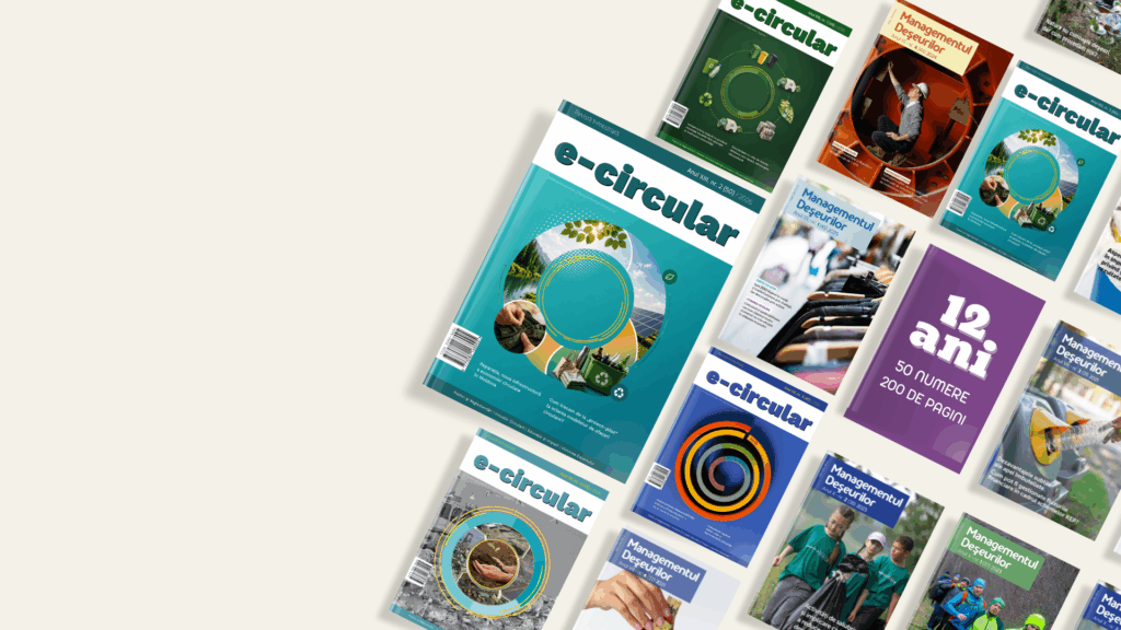 revista cover aniversare